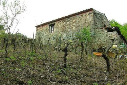 House for sale in Pantón 1